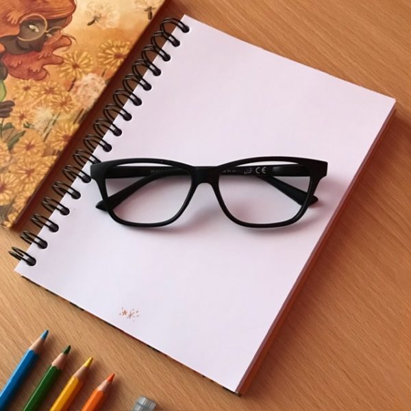 libreta-diente-leon-imma-mestre2